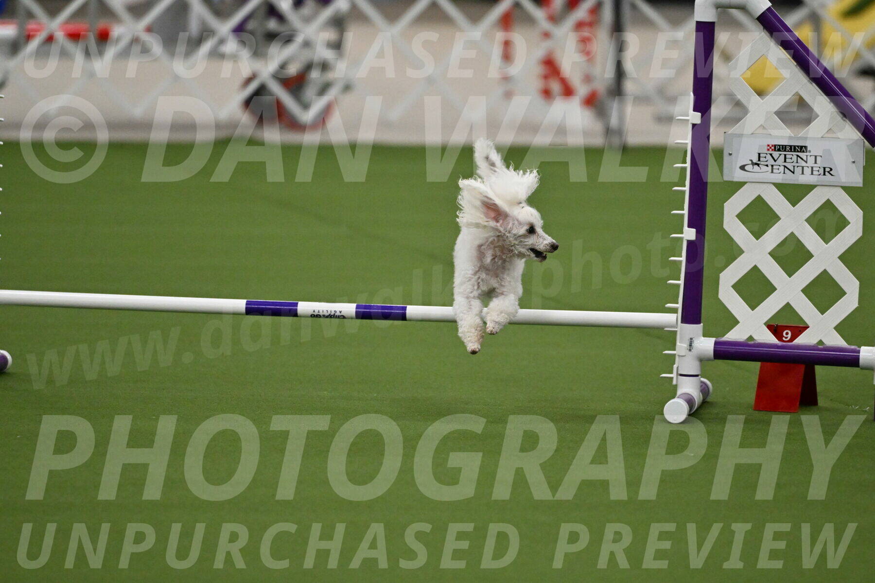 MAS-EX-JWW-4-8-Inch_0197