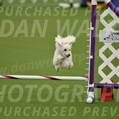 MAS-EX-JWW-4-8-Inch_0213