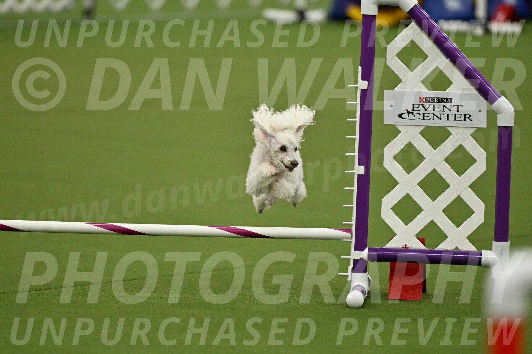 MAS-EX-JWW-4-8-Inch_0213