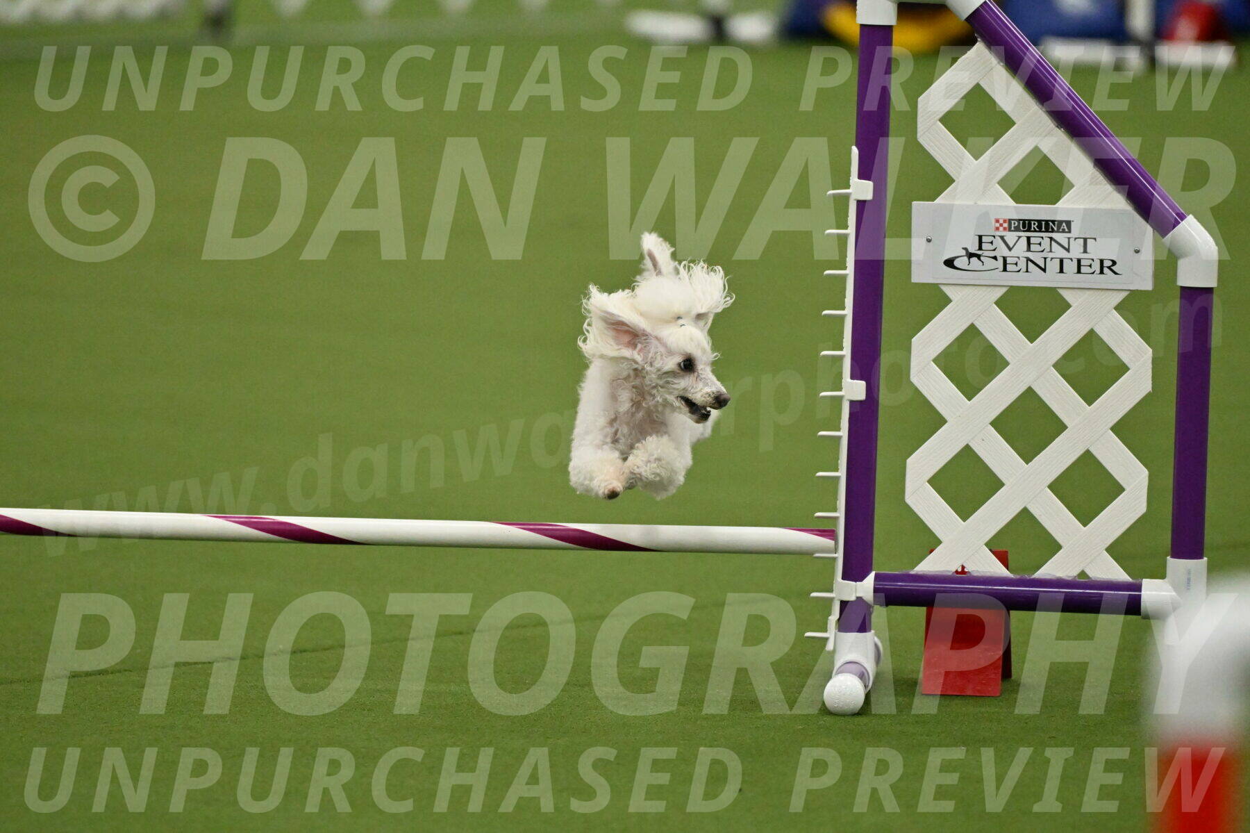 MAS-EX-JWW-4-8-Inch_0214