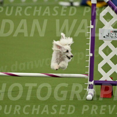 MAS-EX-JWW-4-8-Inch_0214