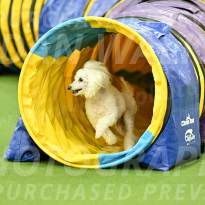 MAS-EX-JWW-4-8-Inch_0233