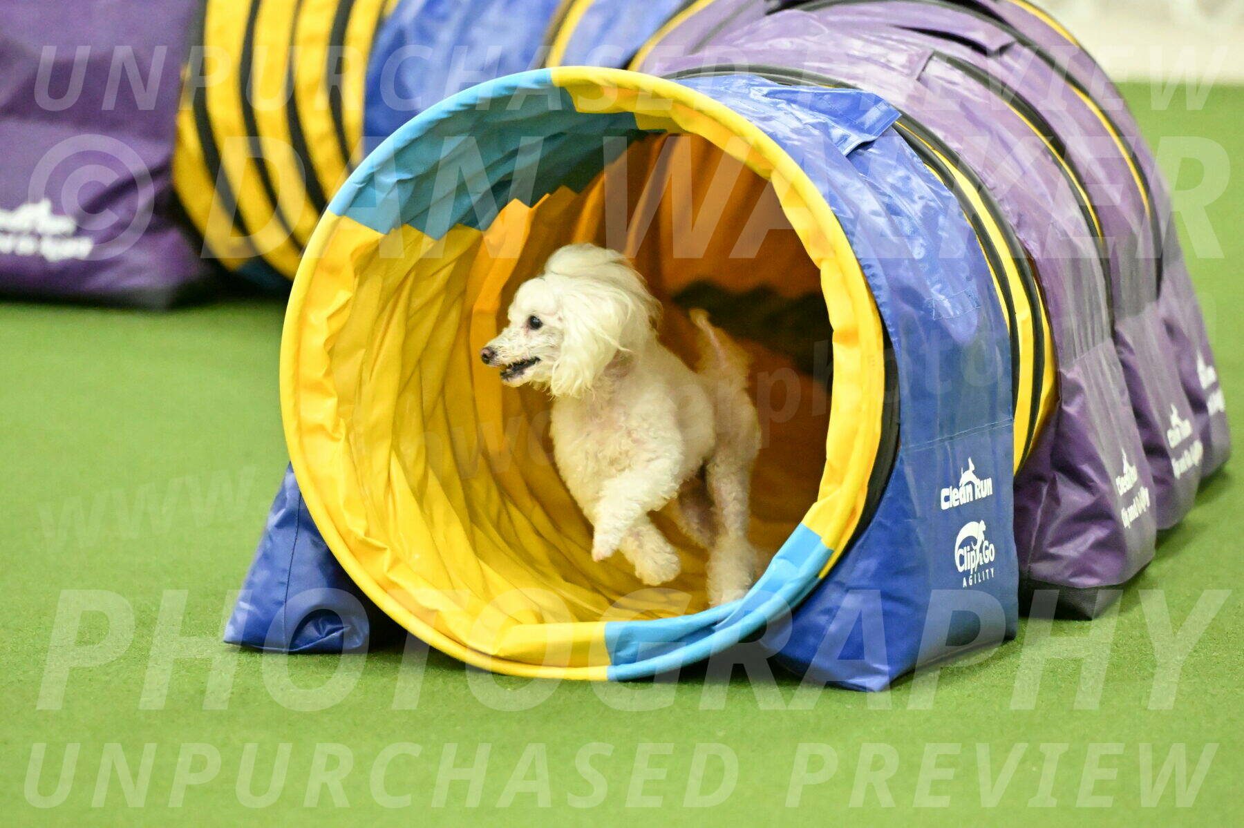 MAS-EX-JWW-4-8-Inch_0233