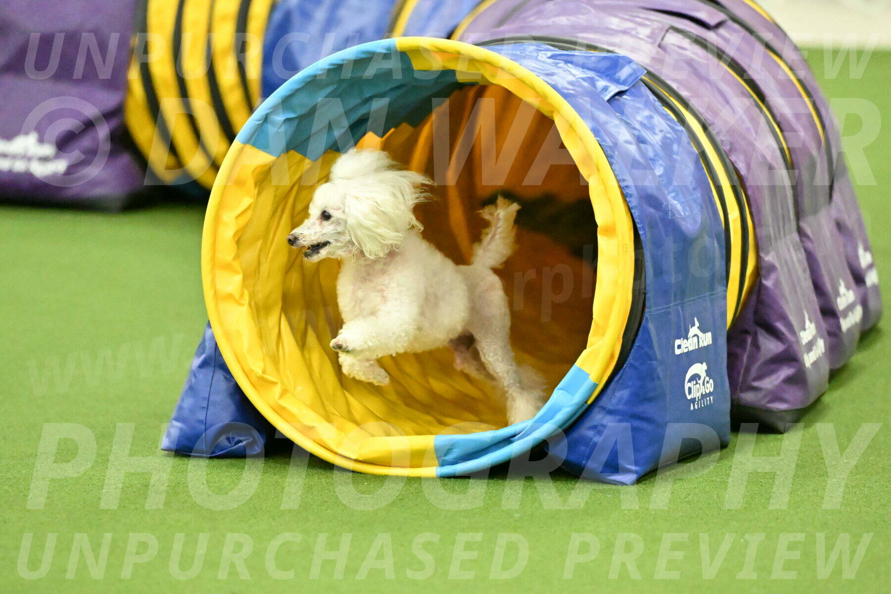 MAS-EX-JWW-4-8-Inch_0234