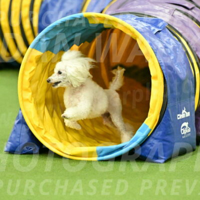 MAS-EX-JWW-4-8-Inch_0234