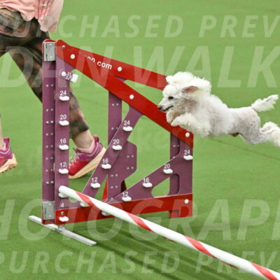 MAS-EX-JWW-4-8-Inch_0238