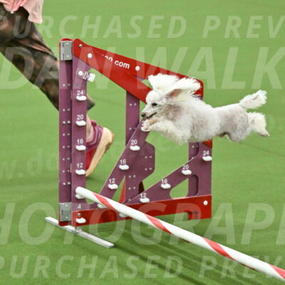 MAS-EX-JWW-4-8-Inch_0239