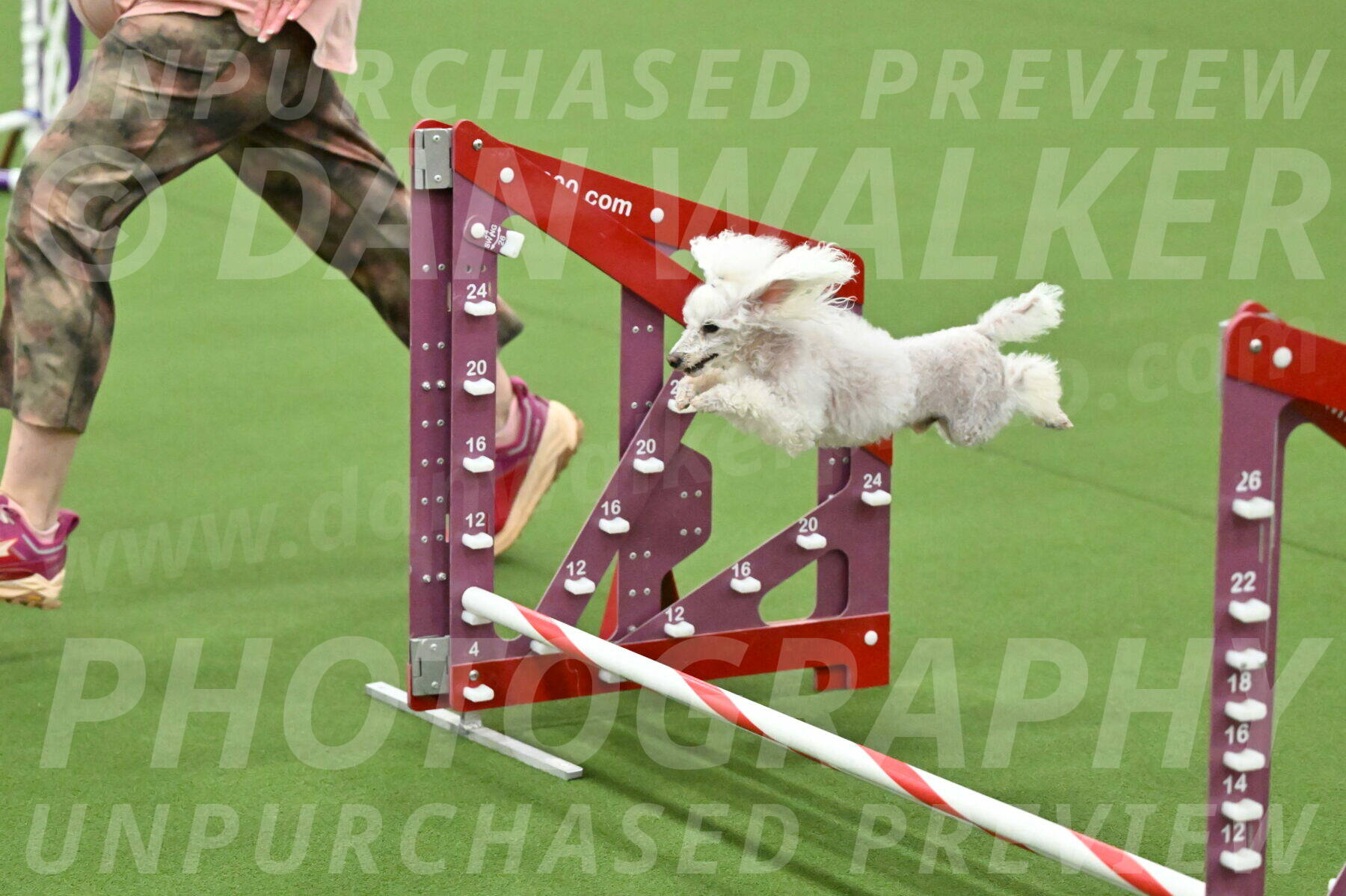 MAS-EX-JWW-4-8-Inch_0239