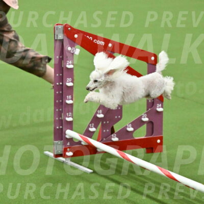 MAS-EX-JWW-4-8-Inch_0240