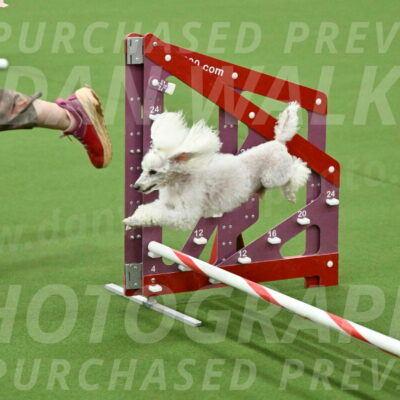 MAS-EX-JWW-4-8-Inch_0241