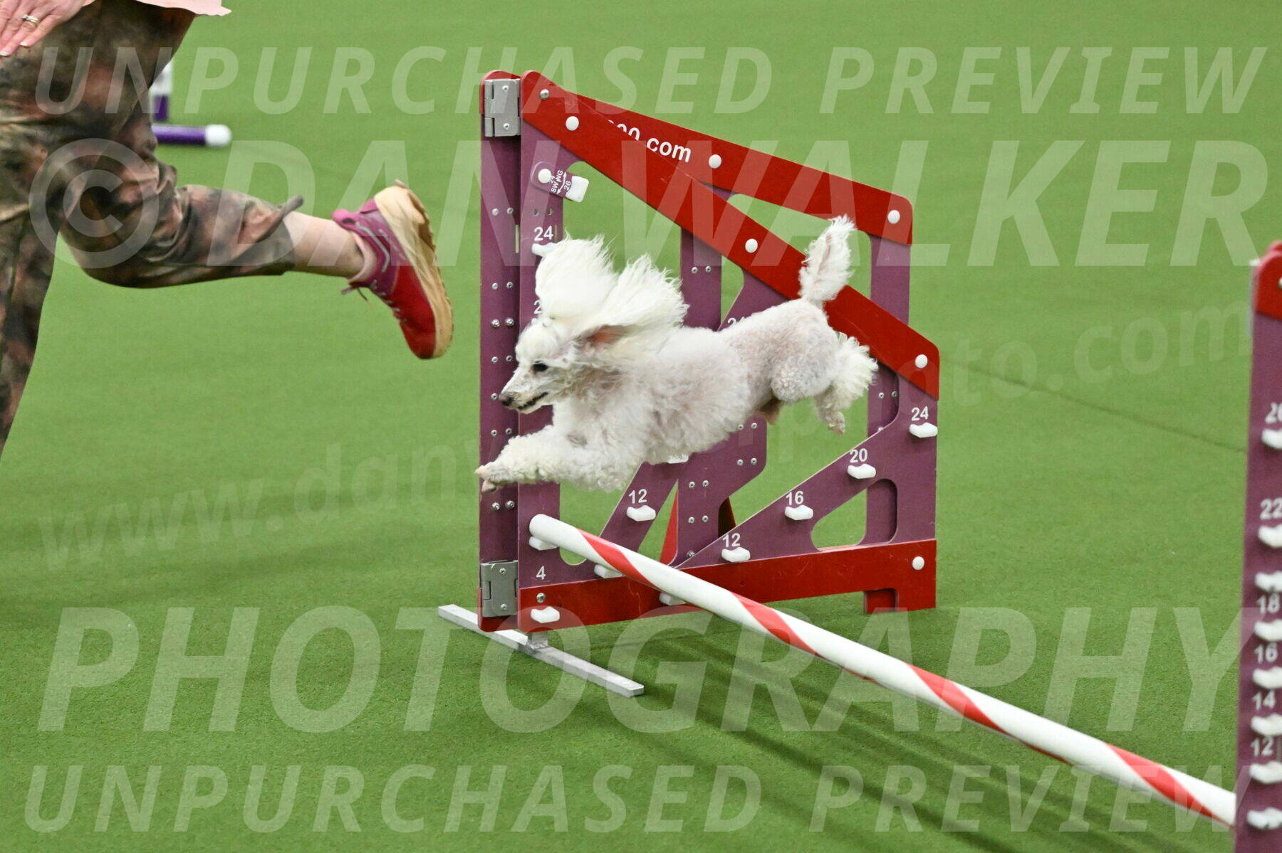 MAS-EX-JWW-4-8-Inch_0241