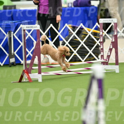 MAS-EX-JWW-4-8-Inch_0242