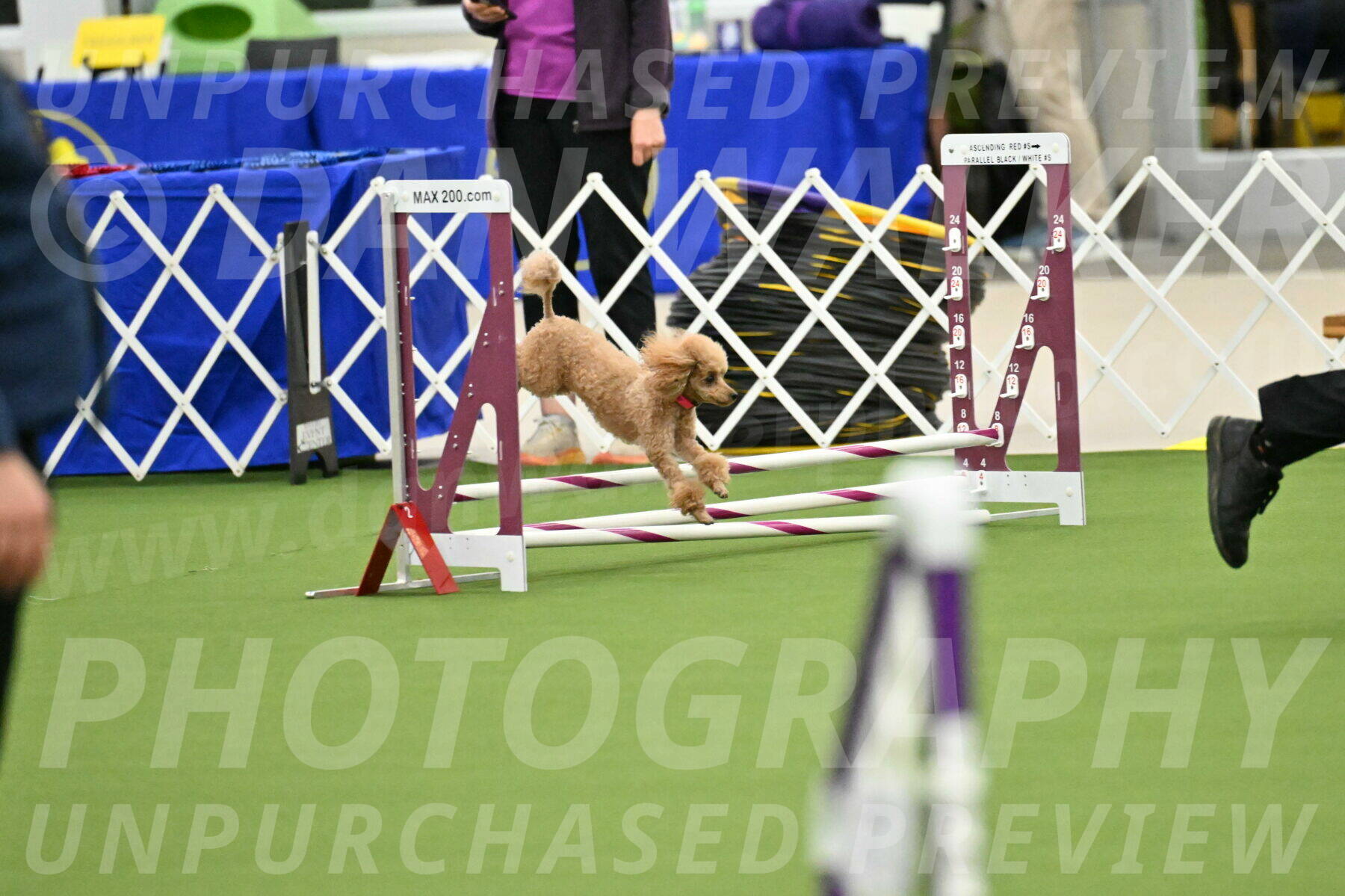 MAS-EX-JWW-4-8-Inch_0242