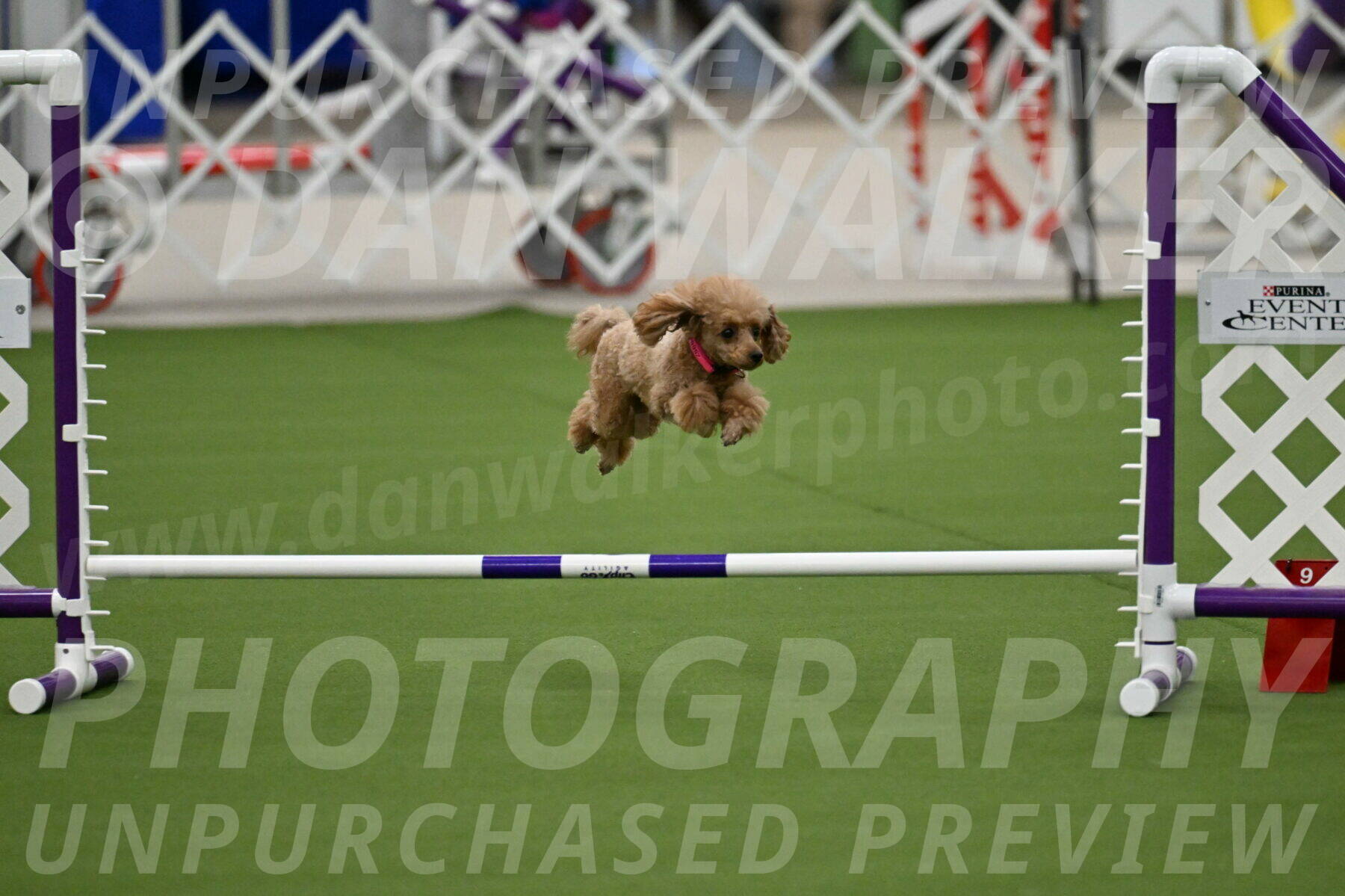 MAS-EX-JWW-4-8-Inch_0245