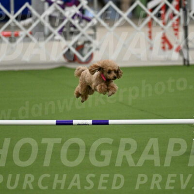 MAS-EX-JWW-4-8-Inch_0245