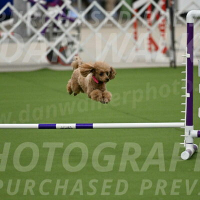 MAS-EX-JWW-4-8-Inch_0246