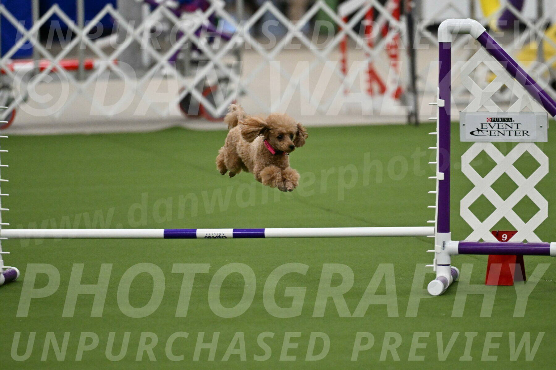 MAS-EX-JWW-4-8-Inch_0246