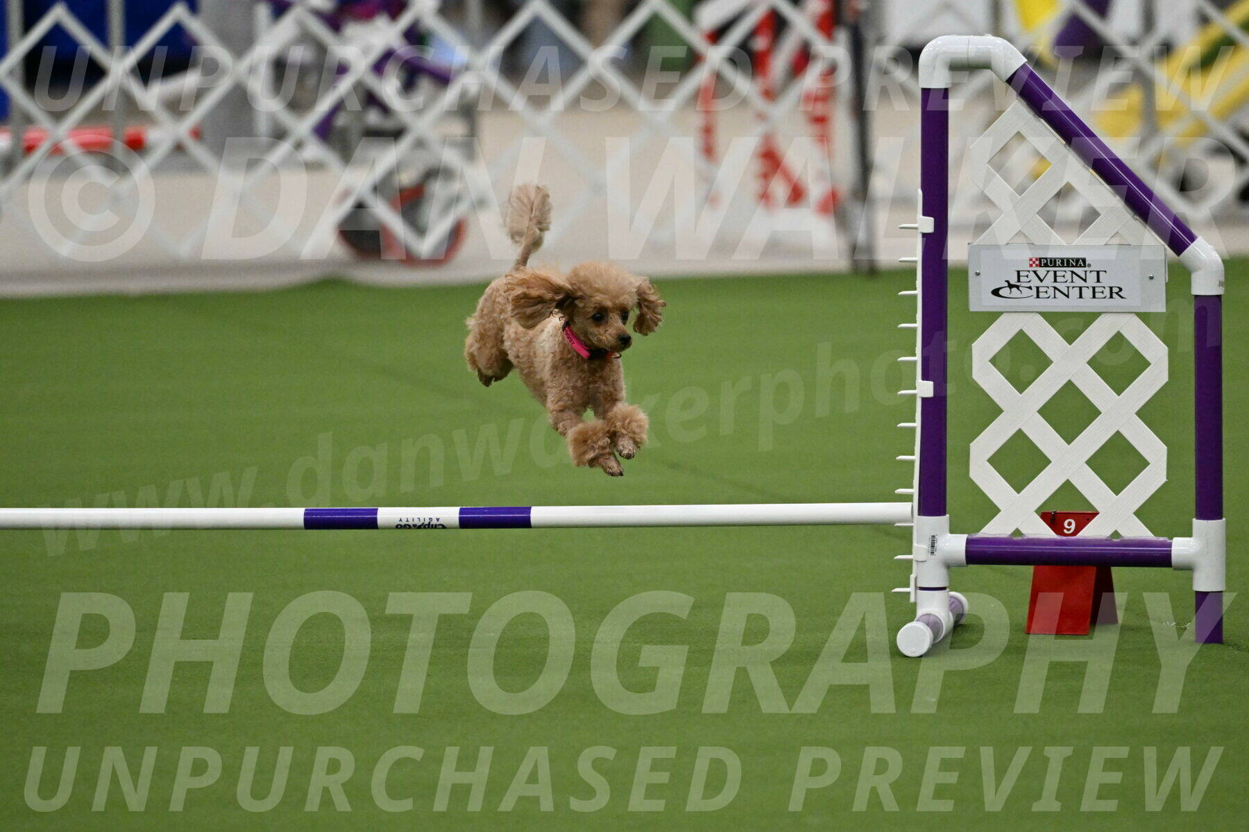 MAS-EX-JWW-4-8-Inch_0247