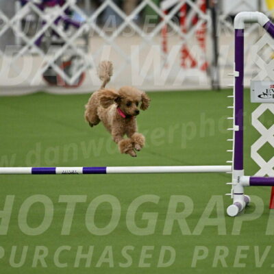 MAS-EX-JWW-4-8-Inch_0247