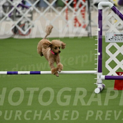 MAS-EX-JWW-4-8-Inch_0248