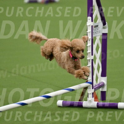 MAS-EX-JWW-4-8-Inch_0249