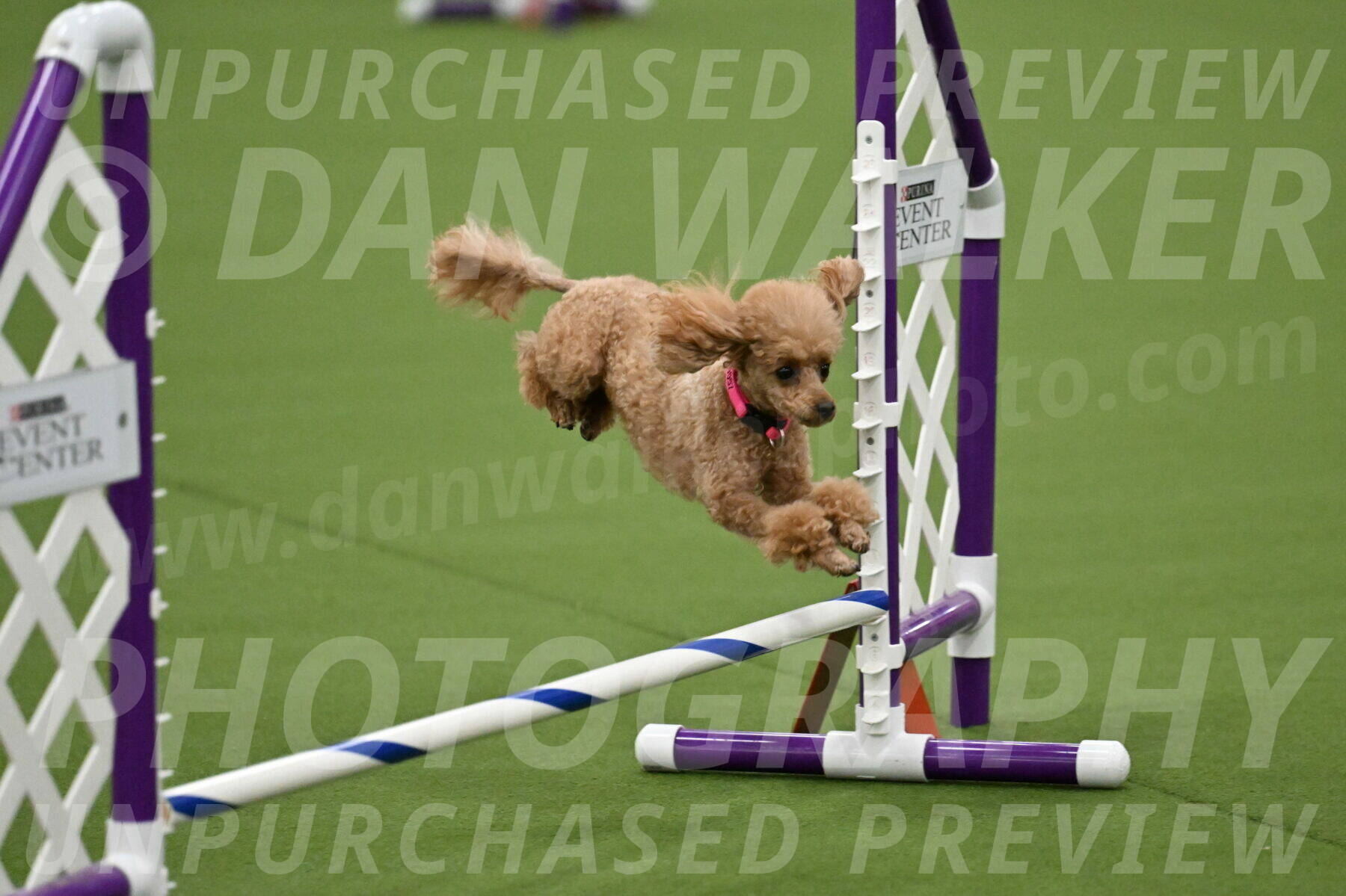 MAS-EX-JWW-4-8-Inch_0249