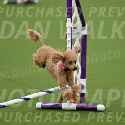 MAS-EX-JWW-4-8-Inch_0250