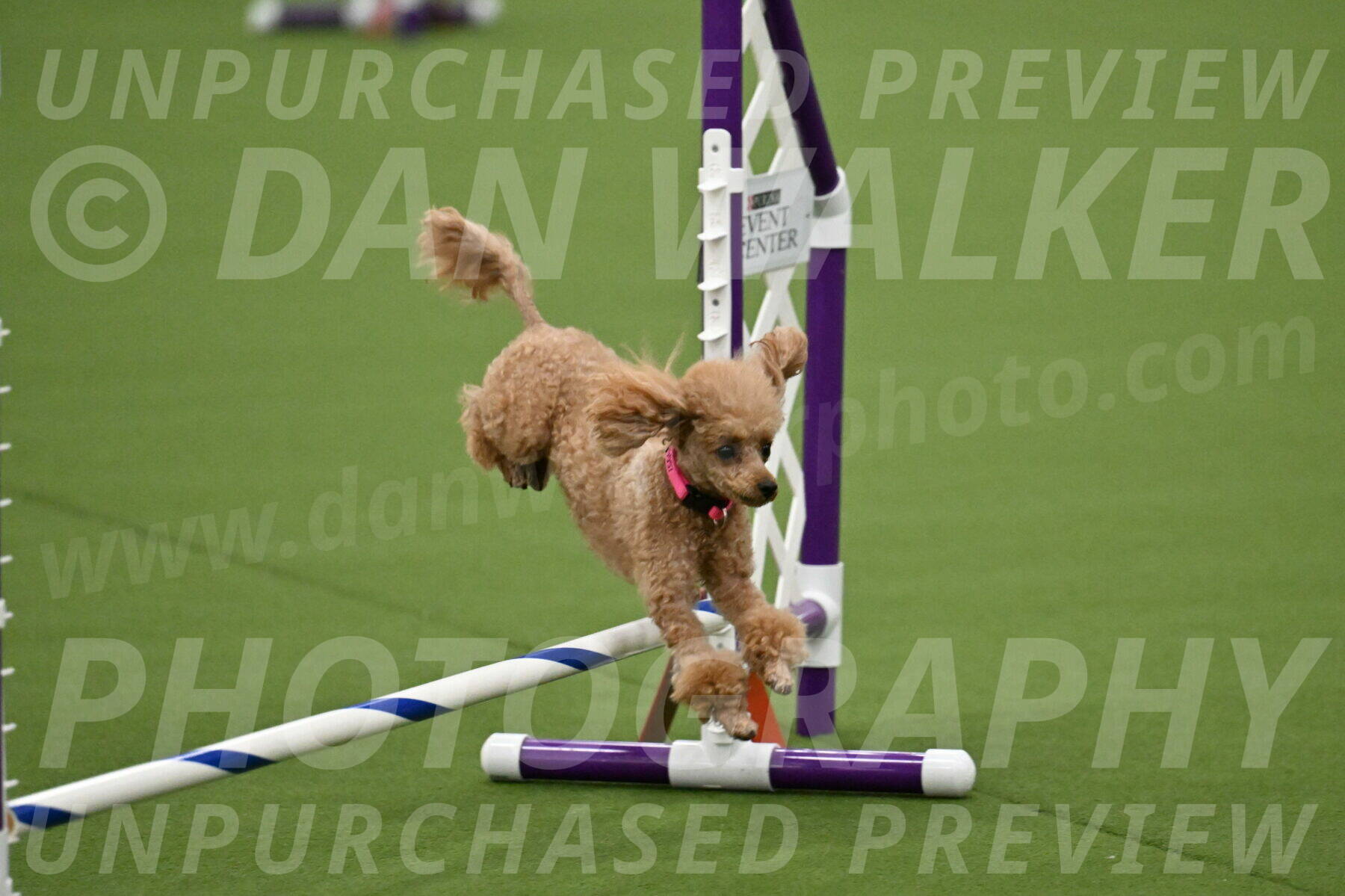 MAS-EX-JWW-4-8-Inch_0250