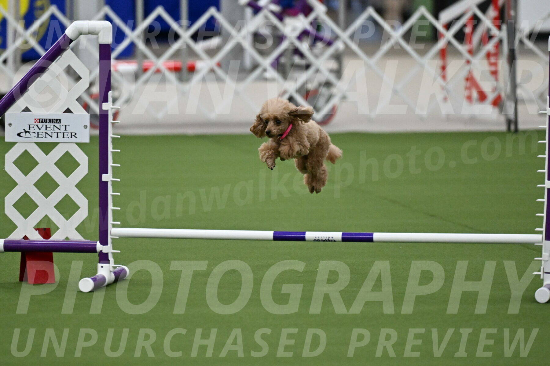 MAS-EX-JWW-4-8-Inch_0252