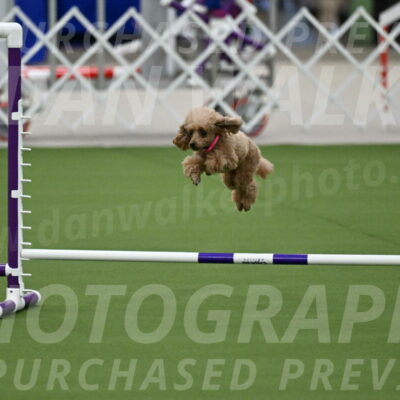 MAS-EX-JWW-4-8-Inch_0252