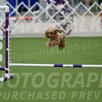 MAS-EX-JWW-4-8-Inch_0253