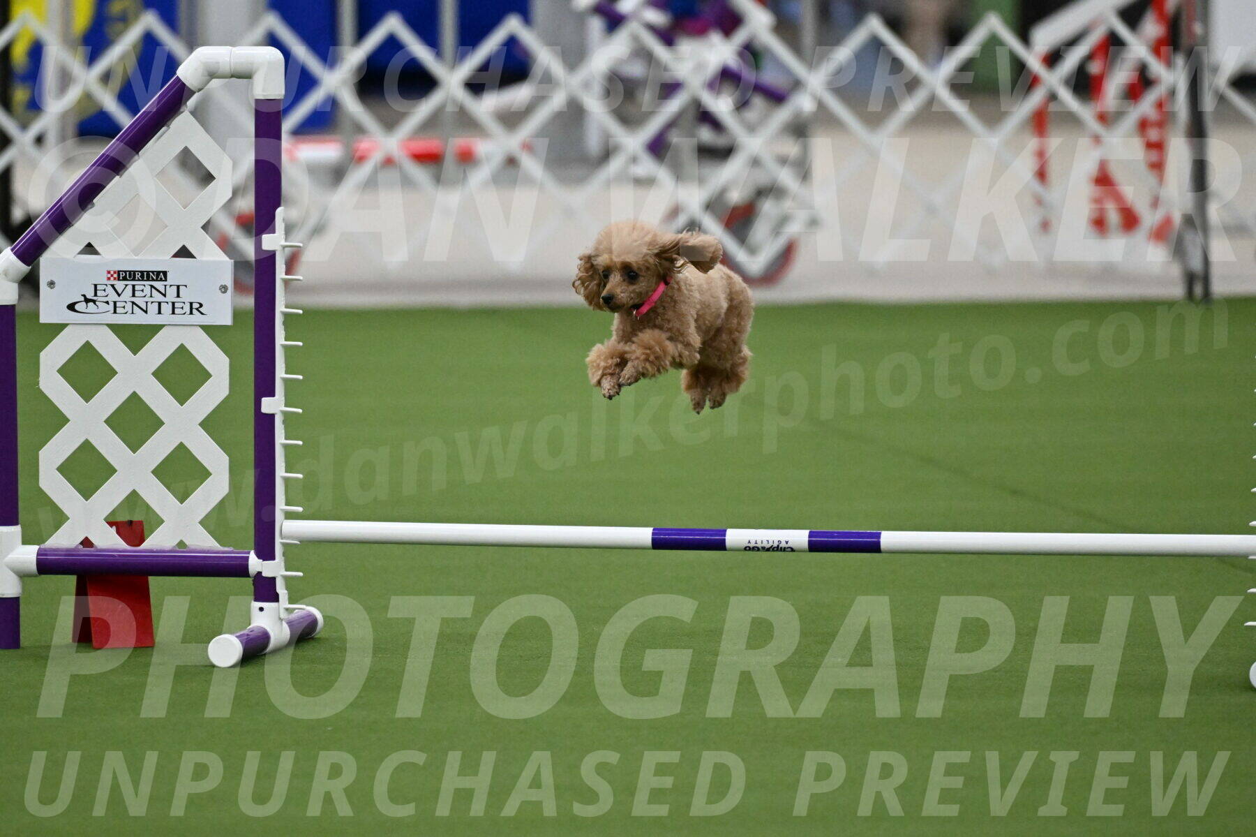 MAS-EX-JWW-4-8-Inch_0253