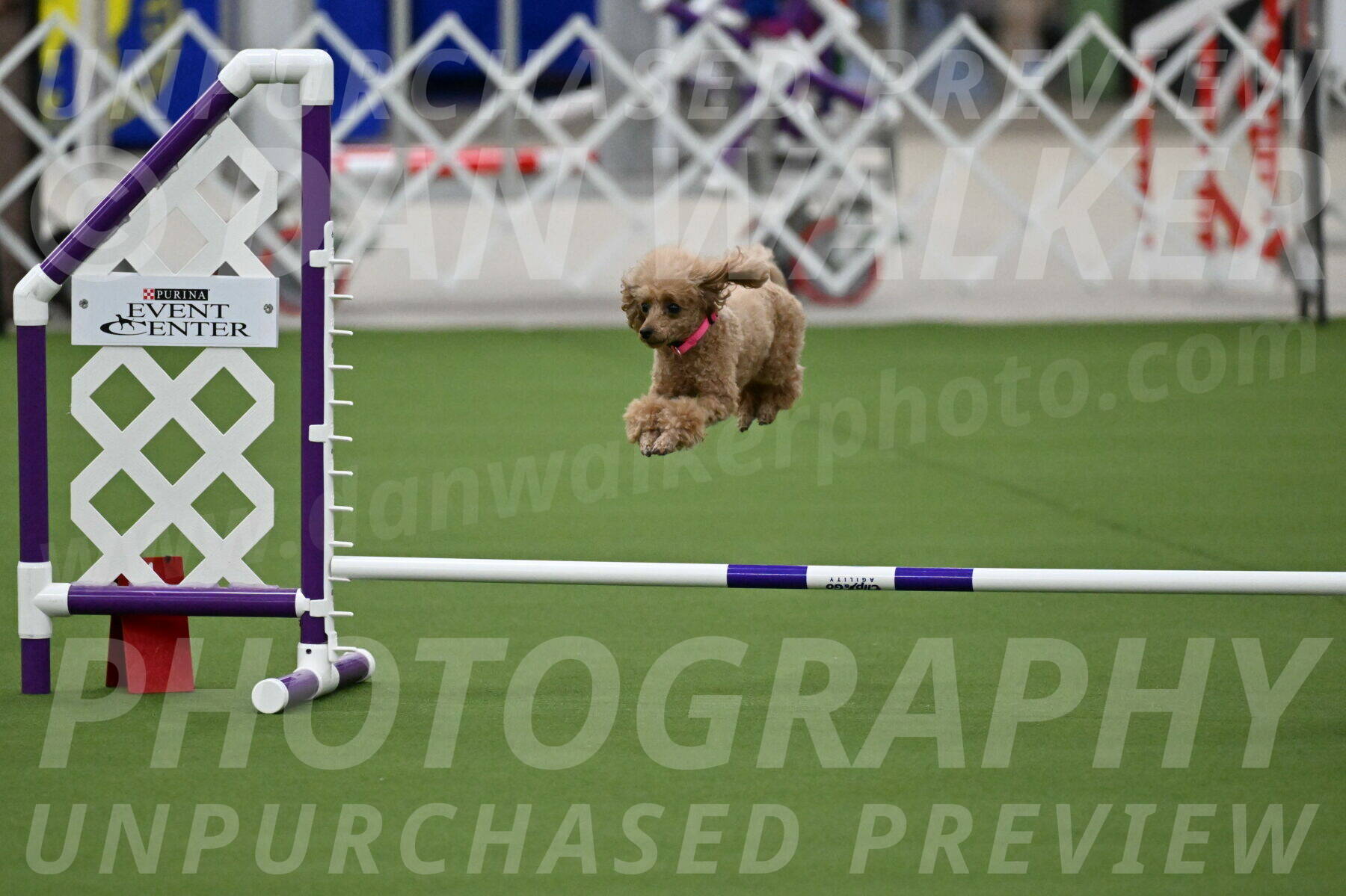 MAS-EX-JWW-4-8-Inch_0254