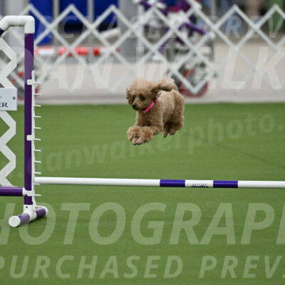 MAS-EX-JWW-4-8-Inch_0254