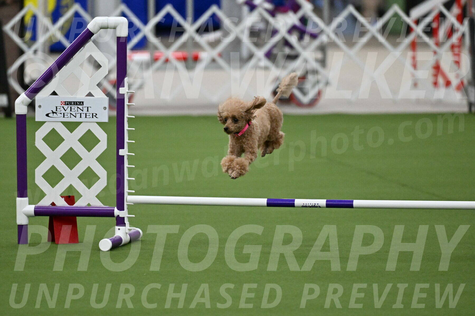 MAS-EX-JWW-4-8-Inch_0255