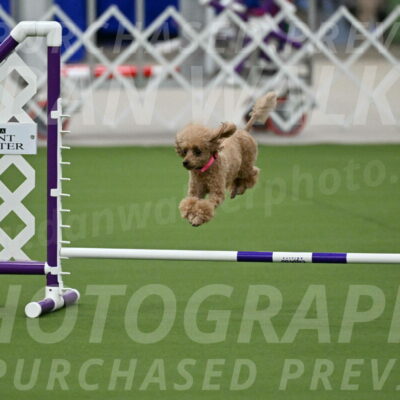 MAS-EX-JWW-4-8-Inch_0255