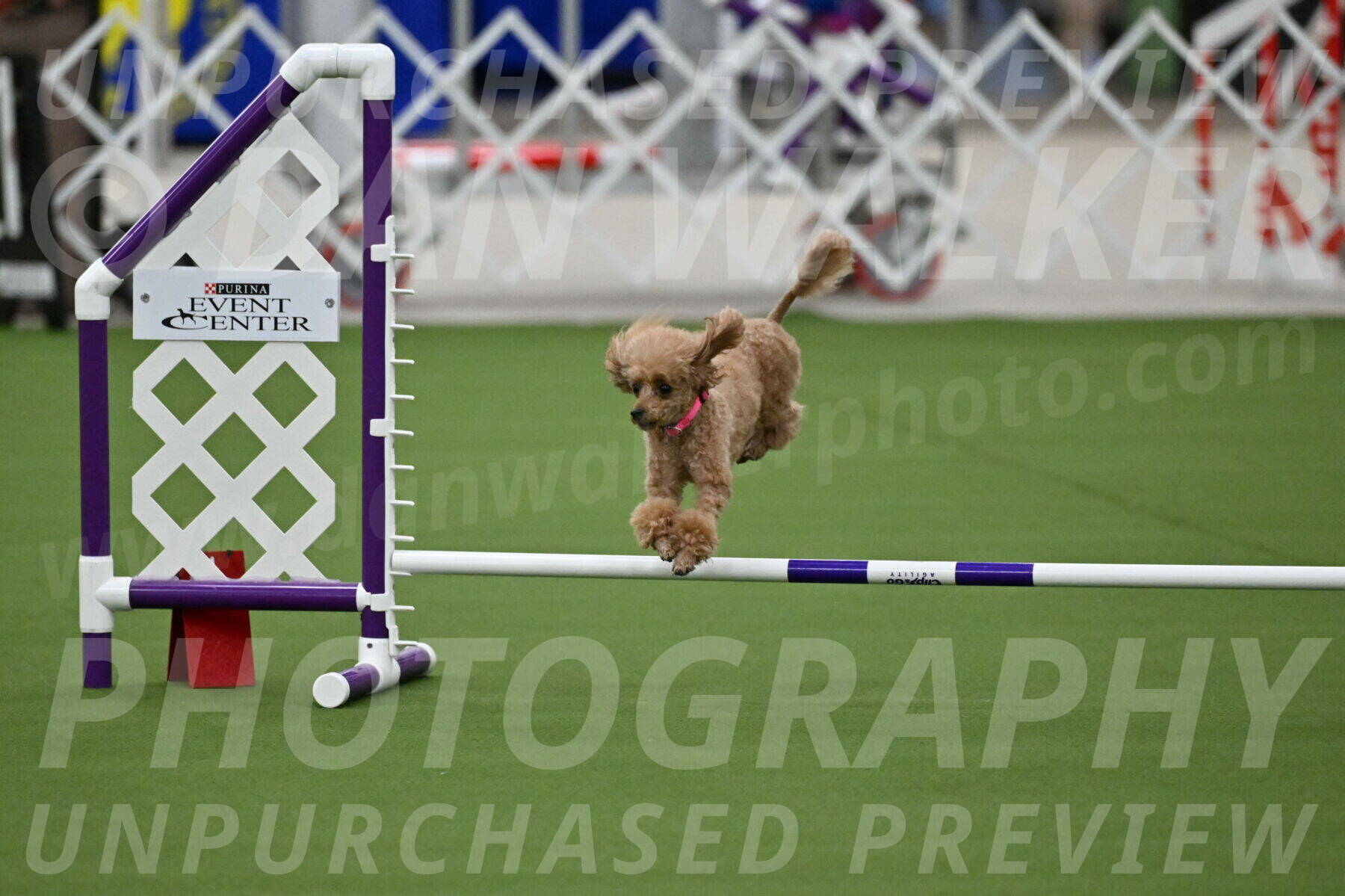 MAS-EX-JWW-4-8-Inch_0256