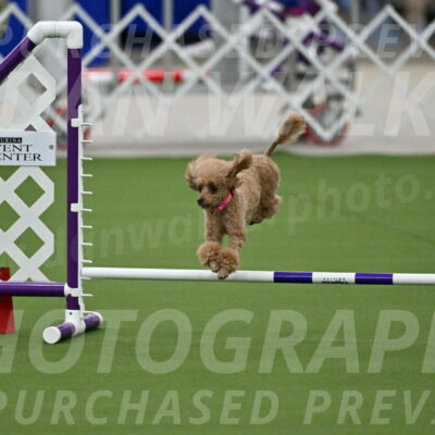 MAS-EX-JWW-4-8-Inch_0256