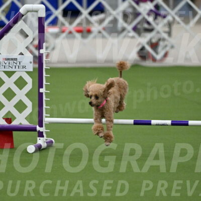 MAS-EX-JWW-4-8-Inch_0257