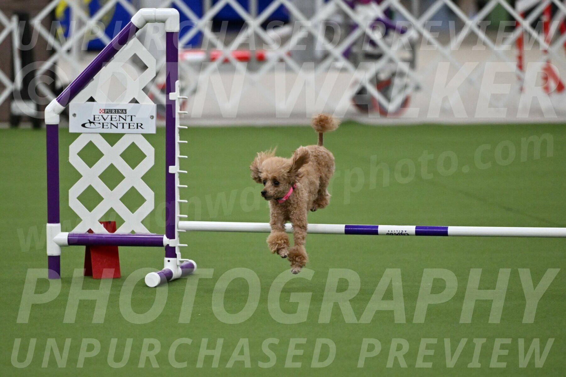 MAS-EX-JWW-4-8-Inch_0257