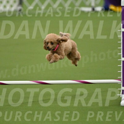 MAS-EX-JWW-4-8-Inch_0258