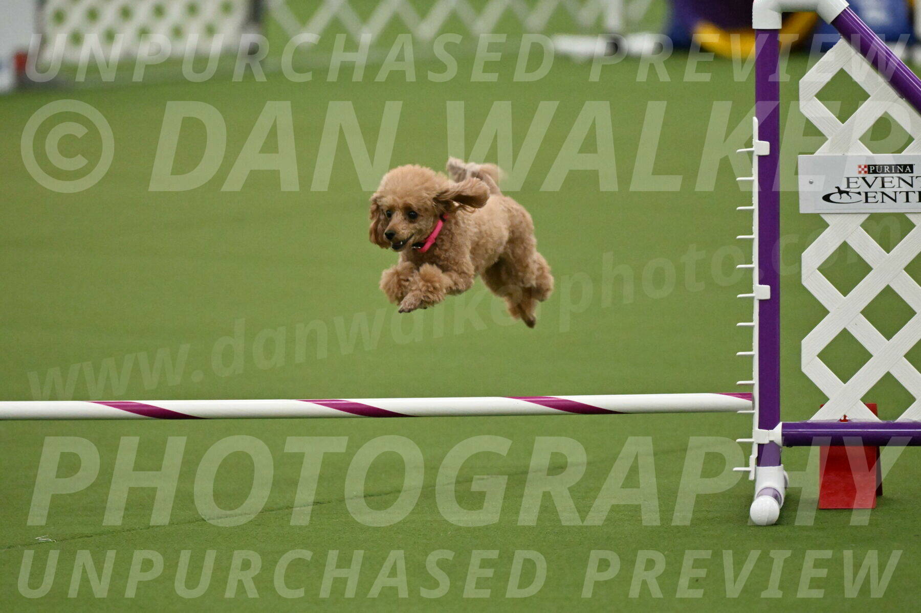 MAS-EX-JWW-4-8-Inch_0258