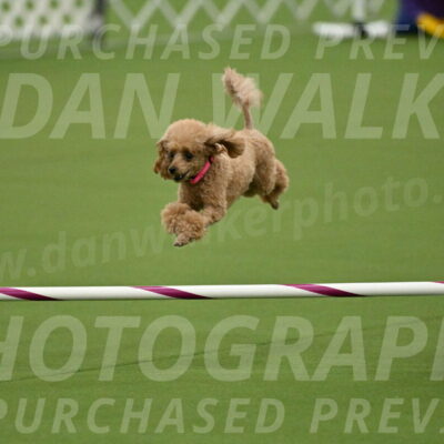 MAS-EX-JWW-4-8-Inch_0259