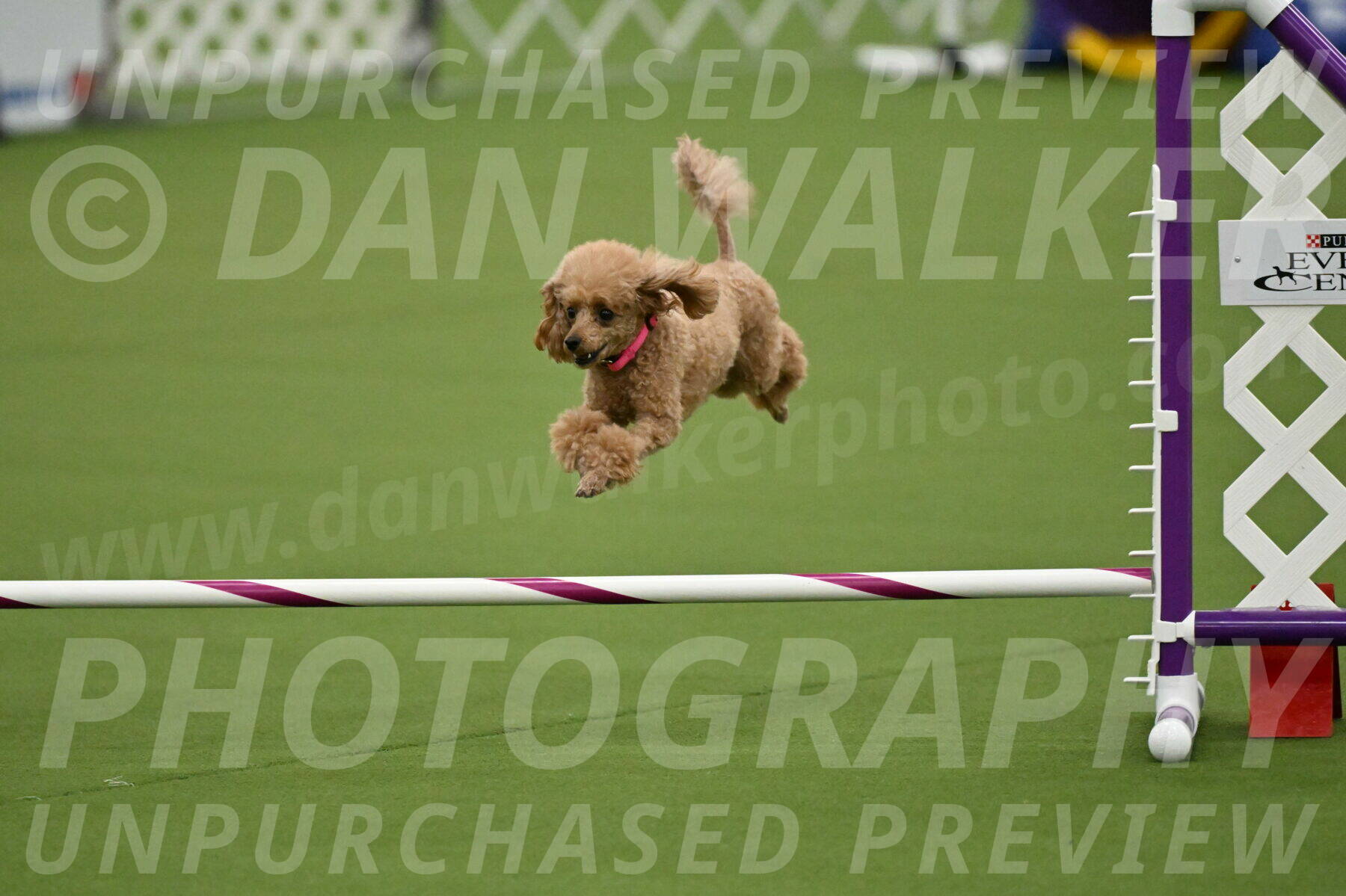 MAS-EX-JWW-4-8-Inch_0259