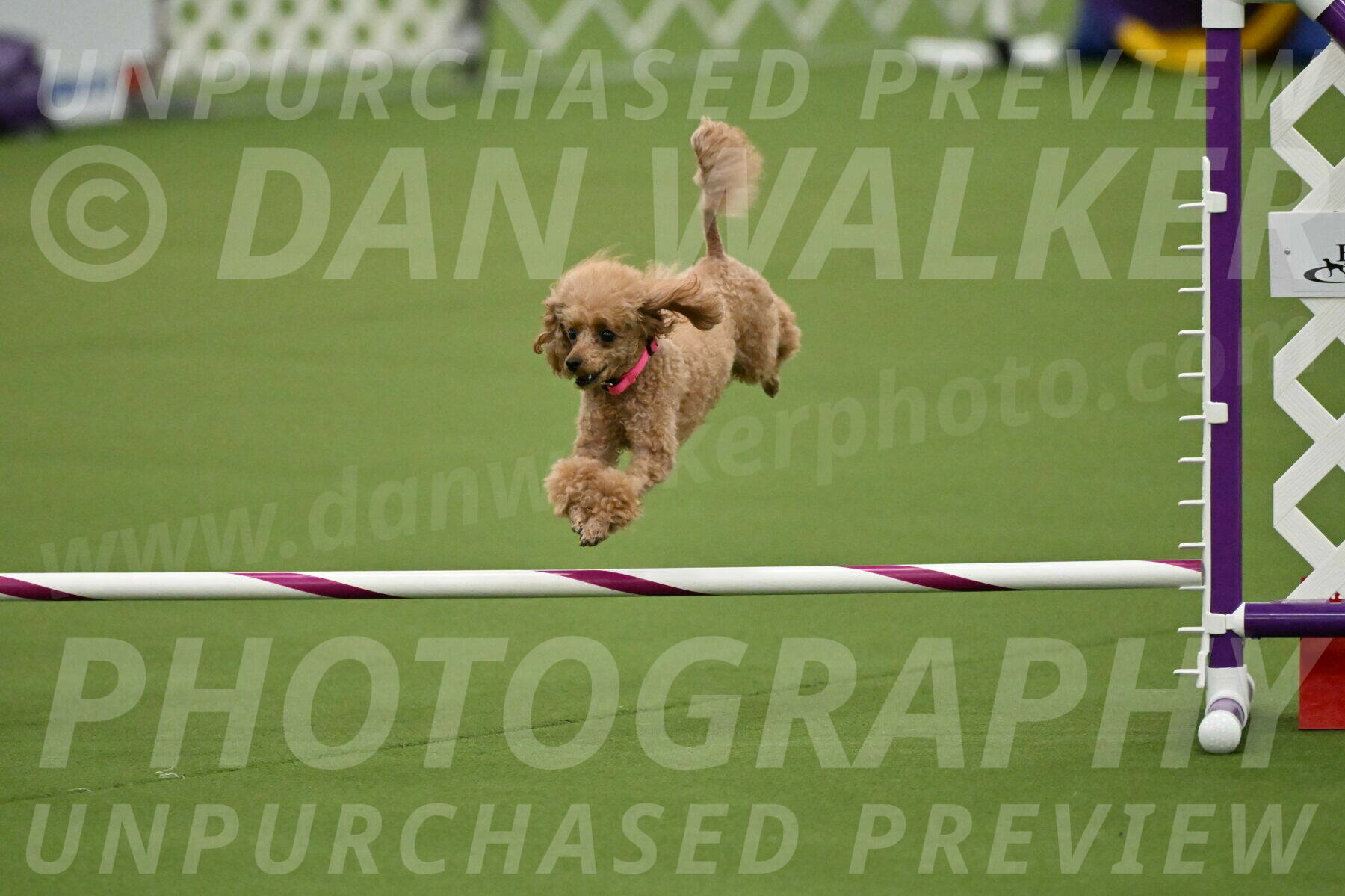 MAS-EX-JWW-4-8-Inch_0260