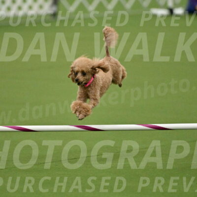 MAS-EX-JWW-4-8-Inch_0260