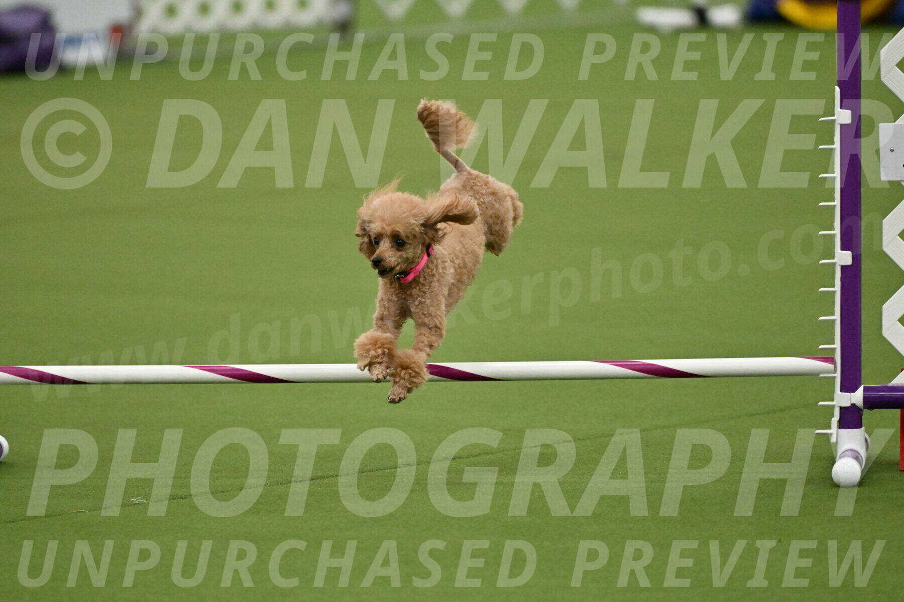 MAS-EX-JWW-4-8-Inch_0261