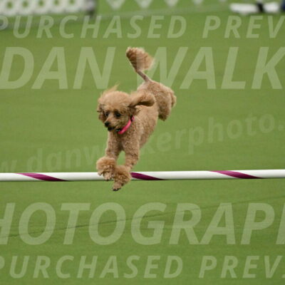 MAS-EX-JWW-4-8-Inch_0261