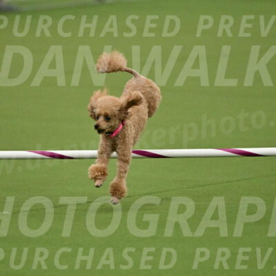 MAS-EX-JWW-4-8-Inch_0262