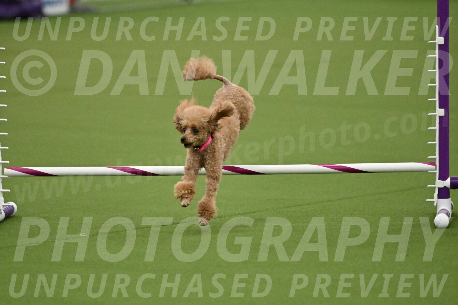 MAS-EX-JWW-4-8-Inch_0262